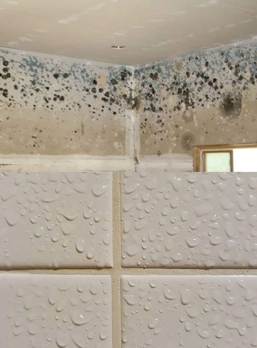 Luftfeuchtigkeit zu Hause? Der Tipp kluger Omas, dieses Problem endgültig zu lösen