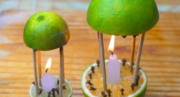 Mit diesem Mittel parfümieren Sie nicht nur Ihr Zuhause, sondern die Mücken kommen nie wieder