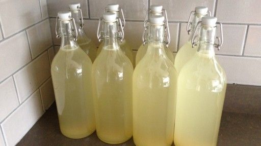 Natural and Tasty Ginger Beer Recipe with Therapeutic Properties