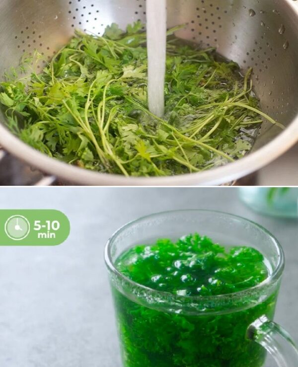 Parsley Infusion: A Quick and Refreshing Natural Tea