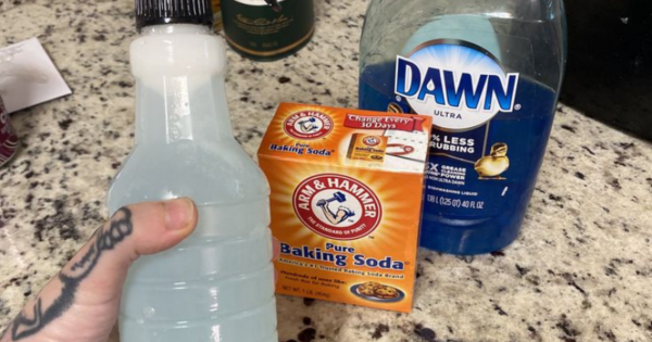 Permanent Pest Control: Natural Methods to Get Rid of Fleas, Ants, and Cockroaches in Your Home