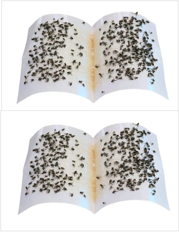 Place it in the kitchen: it keeps flies, mosquitoes and other insects away