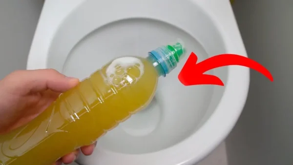 Plumbers hide it, once put in the toilet something unexpected happens