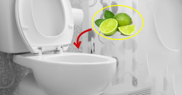 Pour a little lemon water into the toilet before bed & leave it to soak overnight. You’ll be amazed in the morning