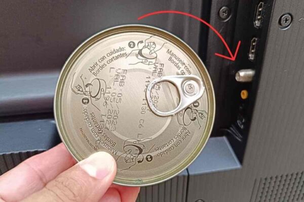 Put a can of canned tuna behind the TV: what happens next