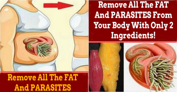 Remove All The FAT And PARASITES From Your Body With Only 2 Ingredients!