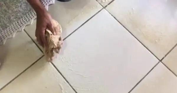 Revive Your Dirty Floors: Effective Cleaning Techniques