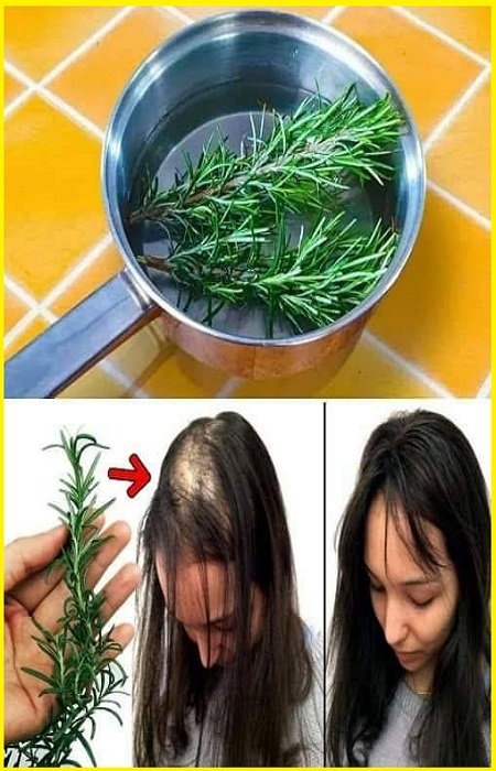 Rosemary for Hair Growth