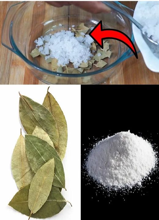 Salt along with bay leaves – one of the hidden secrets you must try
