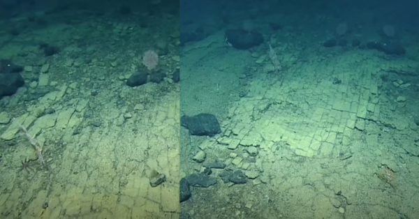 Scientists find strange “Yellow Brick Road” at the bottom of the Pacific Ocean