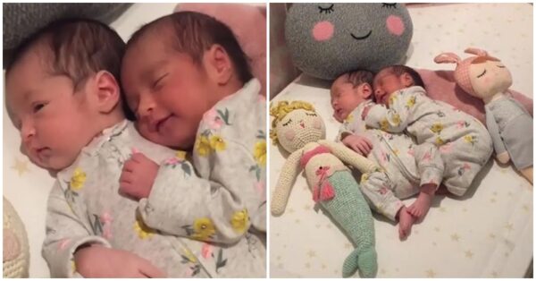 Seeing Them Enjoy While Cuddle Is a Real Pleasure That Fills Our Heart With Joy