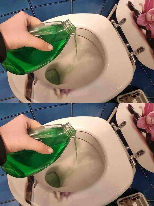 Simple, Budget-Friendly Tips to Keep Your Toilet in Perfect Condition for a Whole Week