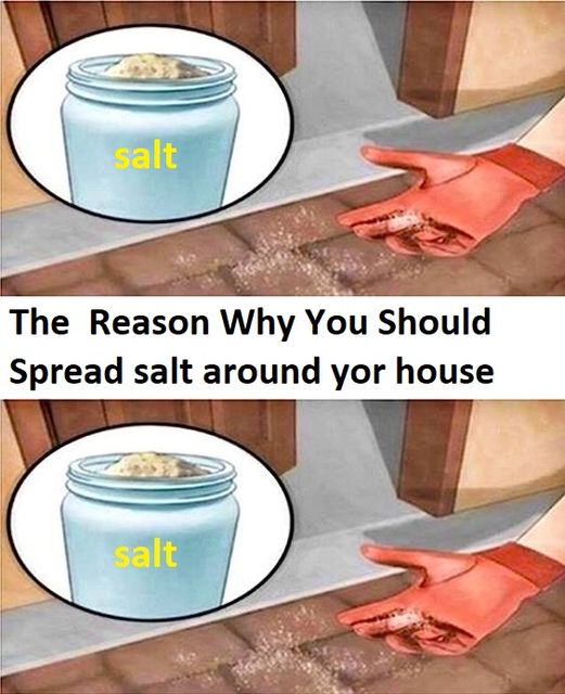 Sprinkle salt all over the house – here’s why it’s awesome