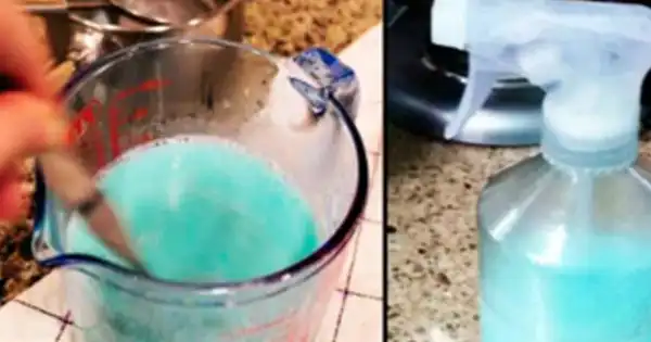 THE MIXTURE THAT WILL MAKE YOUR HOME SMELL SO WONDERFUL… YOUR NEIGHBORS WILL ENVY YOU