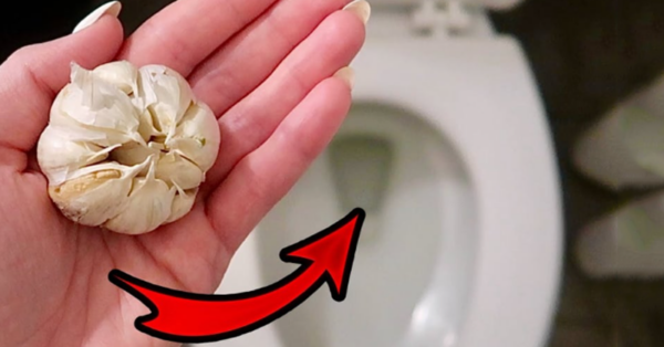 Take a clove of garlic and put it into the toilet. You will want to learn more about this trick!