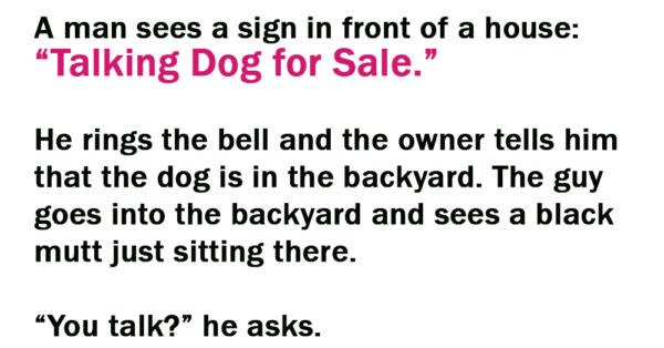 Talking Dog For Sale