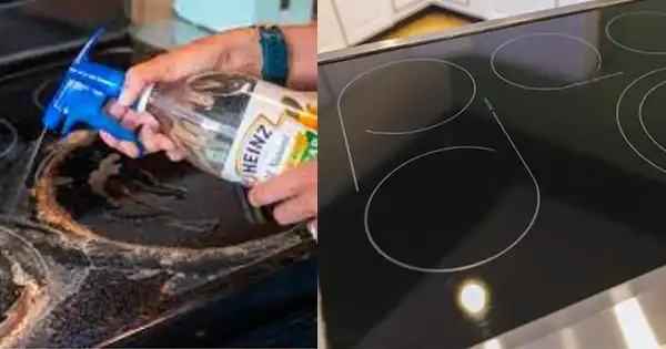 The 5 Effective Ways To Clean Your Glass Stovetop