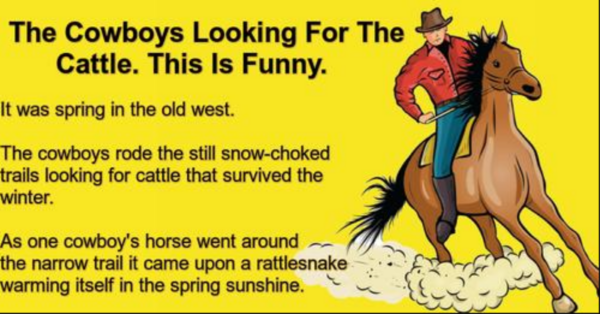 The Cowboys Looking For The Cattle