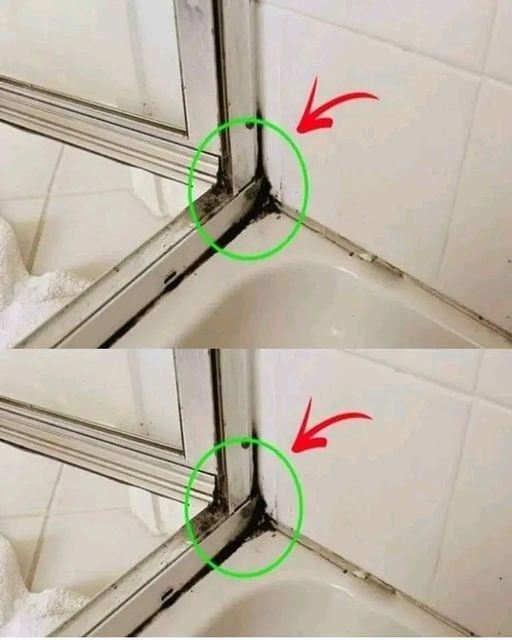 The Fastest Way to Get Rid of Mold from Shower Silicone