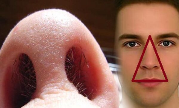 The Habit of Plucking Nose Hair May Lead to Terrible Diseases