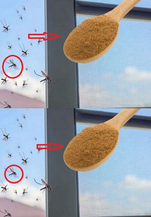 The strongest insecticide against mosquitoes is in the kitchen: you make them disappear for free.