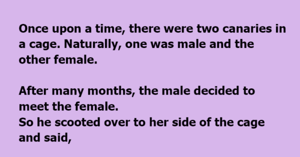 There Were Two Canaries In A Cage