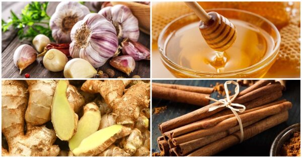 They don’t want you to know: Here are 10 natural antibiotics that treat various infections and health problems