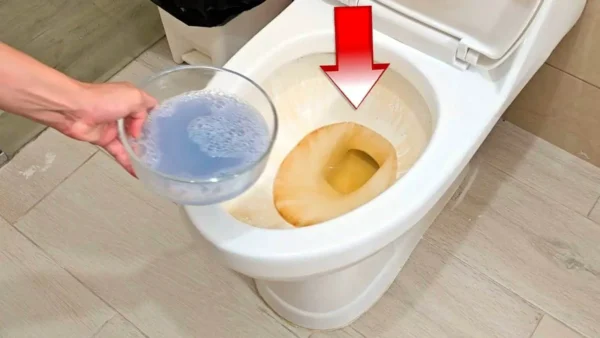 This powerful and natural blend eliminates all stains and the smell of urine