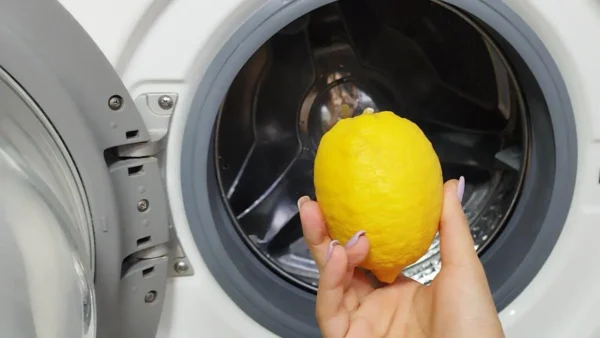 This secret is also kept by the old laundries: never have cloths been so