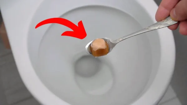 Throw it in the water if yellow toilet stains are almost impossible to remove
