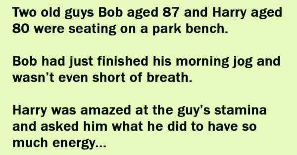 Two Old Guys Were Seating On A Park Bench.