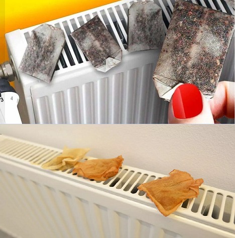 Unexpected Uses of Tea Bags: An Eco-Friendly Trick to Freshen Your Home