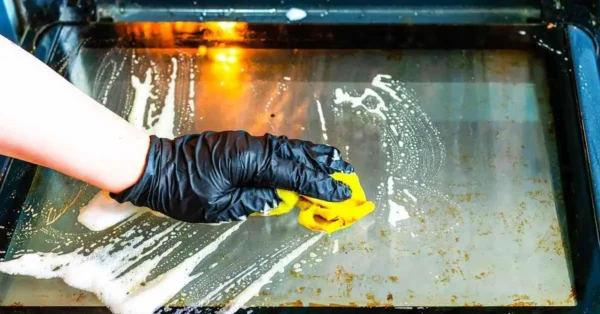 What is the button on the oven door for?