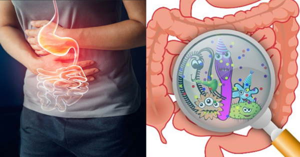 Whenever you have indigestion, do these things immediately instead of suffering