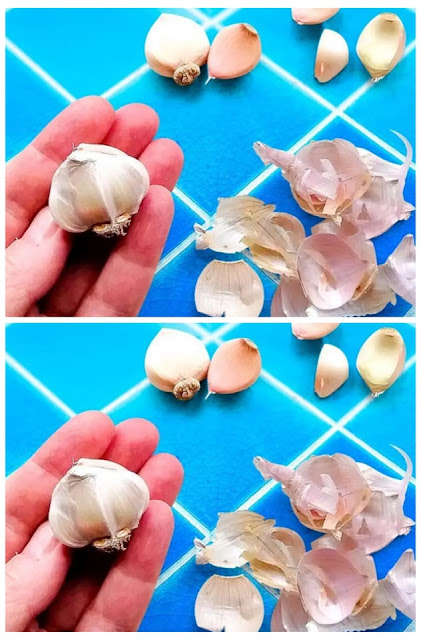 Why Garlic Peels are Like Hidden Treasures: Clever Ways to Repurpose Them