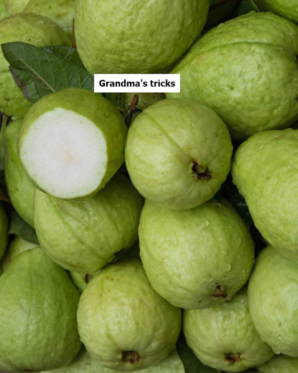 Why you should eat guavas