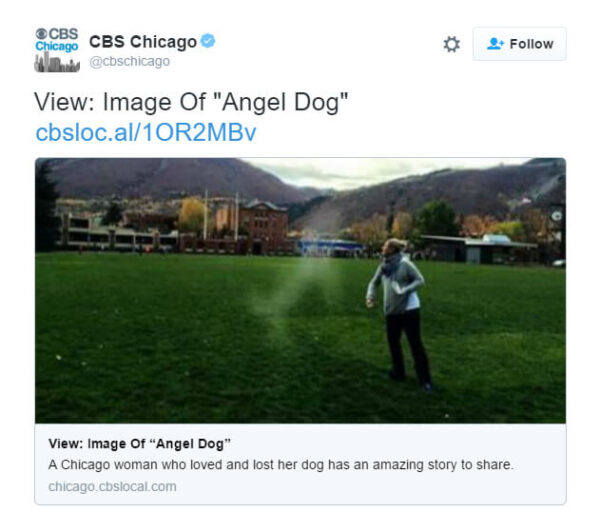 Woman Was Spreading Her Dog’s Ashes When A Friend Took This Picture. And Saw Something Amazing!