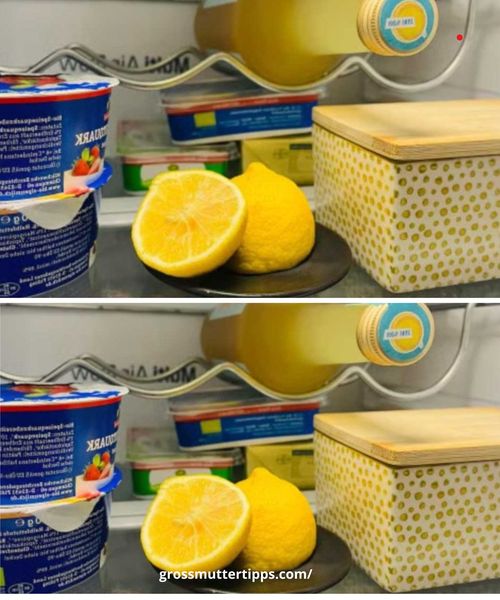 Zitrone im Kühlschrank: Warum sie dort nichts zu suchen hat