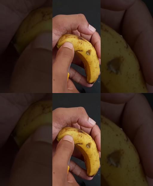 Get fruity: Grow lemons in bananas at home, beginner’s edition! 🍋🍌 #Shorts