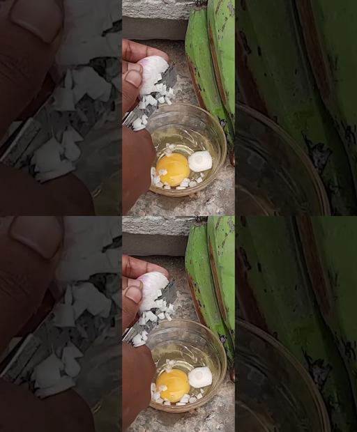 Banana Tree Grafting Hacks for Quick Growth in Tiny Pots! 🍌🌱 #Shorts