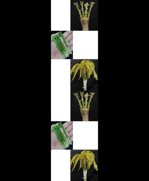 Mastering Mango Multigraft Magic! 🥭🌟 #Shorts