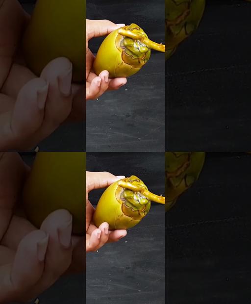 Coconut Magic: Grow Your Own Palm Tree in a Snap! 🌴 #Shorts