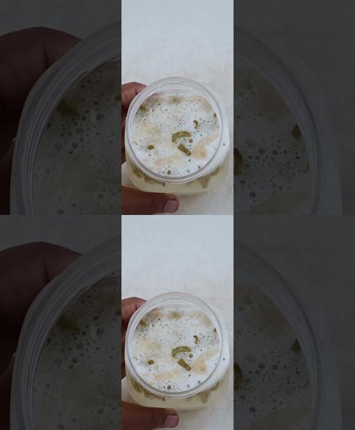 Garlic and Aloe: The Ultimate Plant Protector!