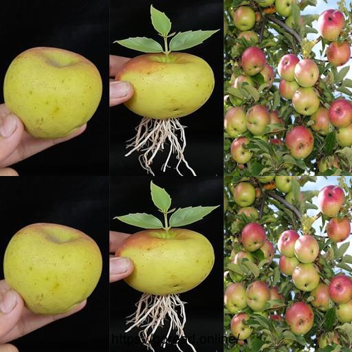 Appleception: Grow Your Own Tree from Fruit! 🌳🍎 #DIYgardening #FruitTreeMagic #GreenThumbGoals