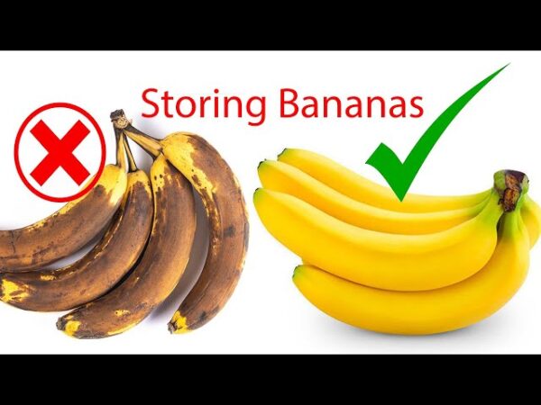 No more rotten and black bananas after a few days: with this method they will last for 2 years